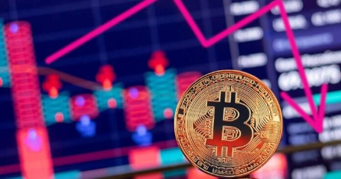 Bitcoin por debajo de $50.000 pierde dominancia y capitalización de mercado