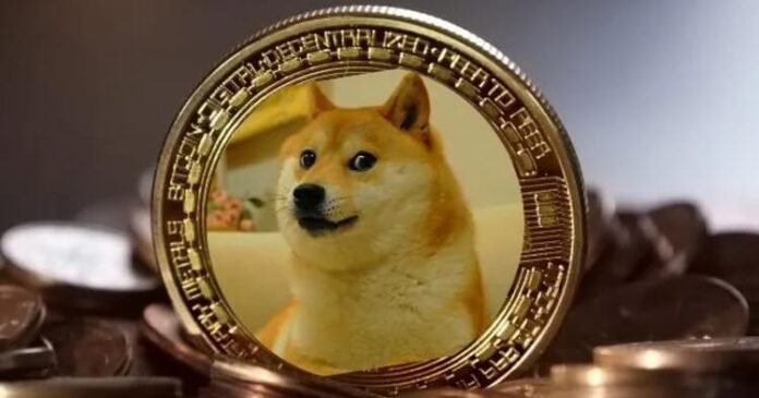 Holder de Dogecoin dona parte de sus ganancias a un refugio para perros