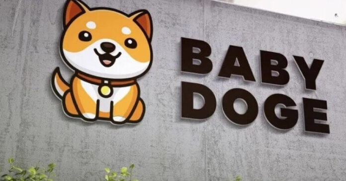 Baby Doge tuvo un incremento de precio del 300%