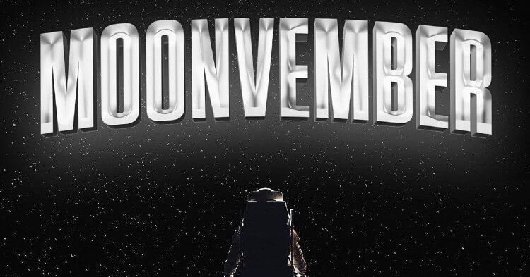 Analista dice que estas 6 criptomonedas subirán 60% en “moonvember”