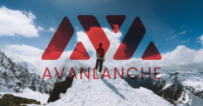 Avalanche subió más de 50% a pesar de mercado en rojo