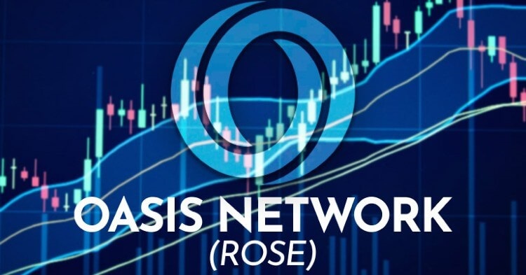 Oasis Network ha superado la recesión al incrementar más de 30% en 14 días