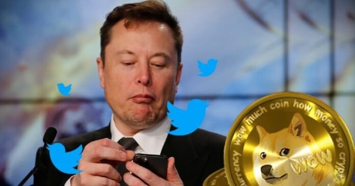 Elon Musk invirtió en Twitter y DOGE subió 9% Elon Musk invirtió en Twitter y DOGE subió 9%