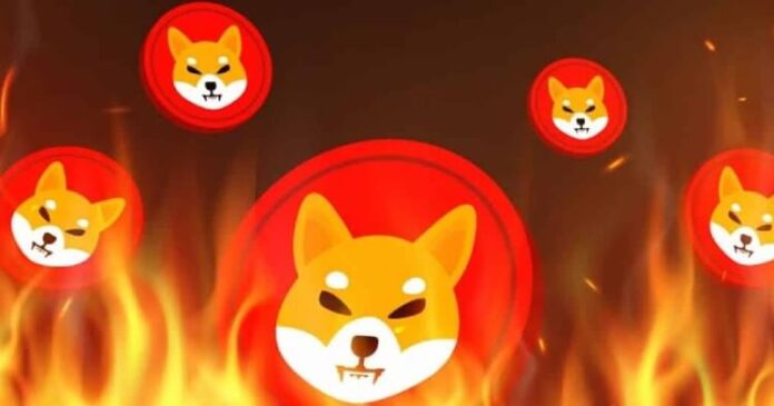 Quema intensiva de tokens impulsa el precio de SHIB un 9%