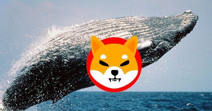 Ballenas de Ethereum compraron 8 millones de dólares en tokens SHIB